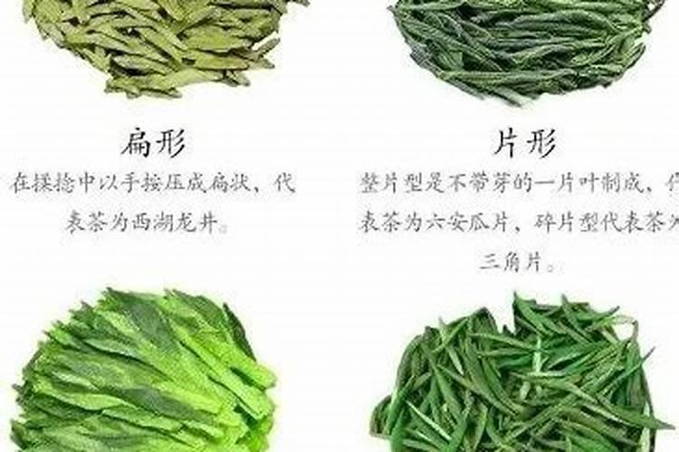 茶叶施磷肥选什么肥