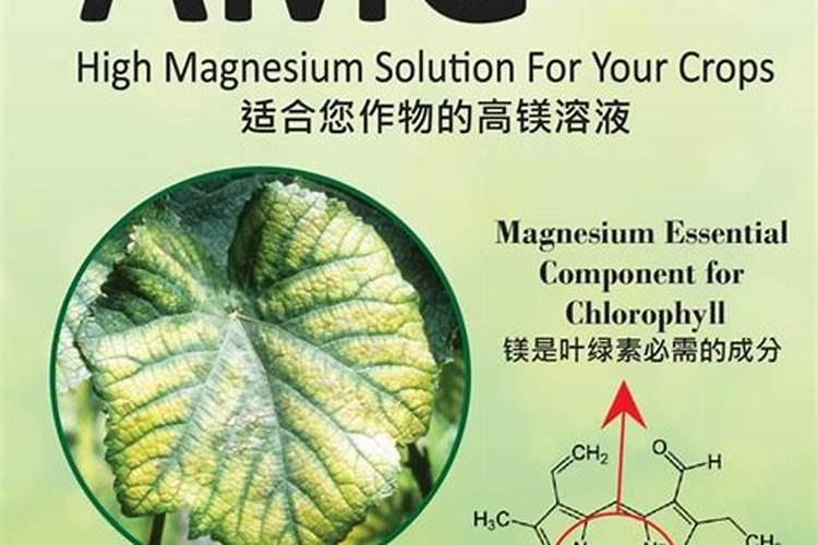 硝态氮肥有哪些
