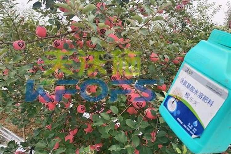 硫磺粉对什么植物有用