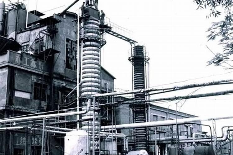 石竹多少钱一棵？2020年石竹价格最新行情预测