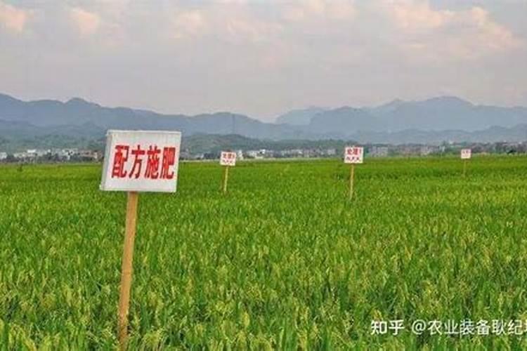 为什么施肥的时候需要浇水啊？