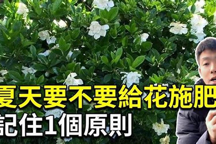 磷酸二氢钾的含量成分