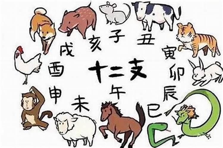 复合肥和尿素的区别？