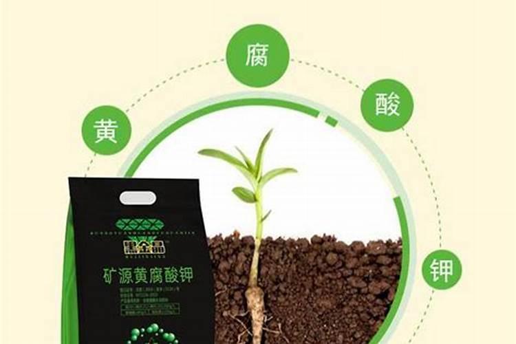 国光杜高哪个好磷酸二氢钾