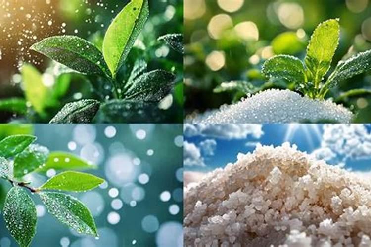 草木灰、尿素和硫酸氨,要如何搭配才更有利于植物呢？