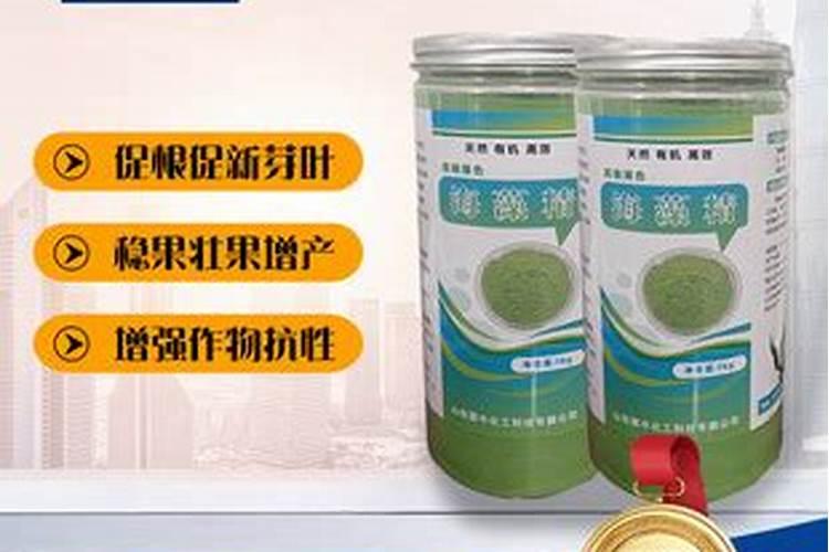 夏鹃的嫁接方法