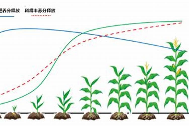 一亩地生产一千公斤玉米需要的氮磷钾各是多少？