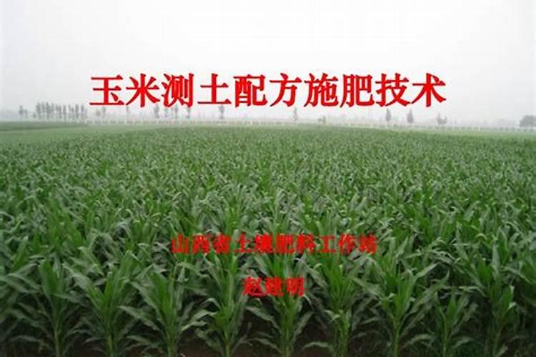 玉米种植过程里,肥料要怎样合理运用？
