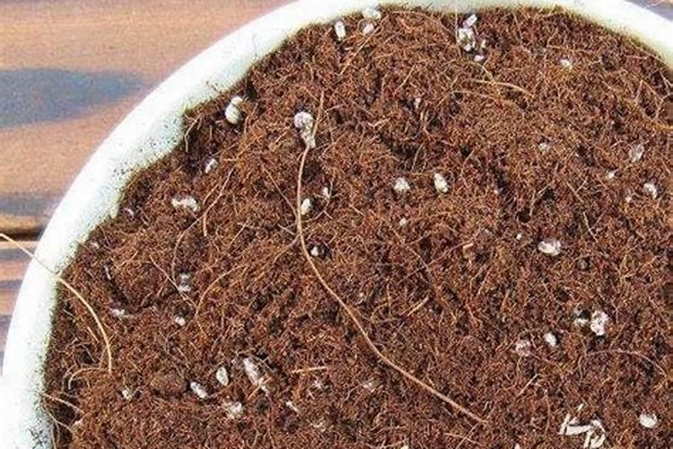 水溶肥与叶面肥的区别