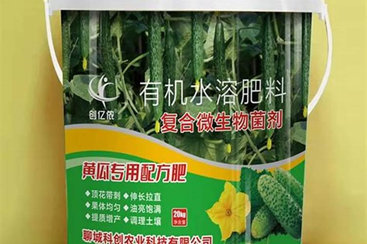 黄瓜坐果期的施肥喷药怎么管理