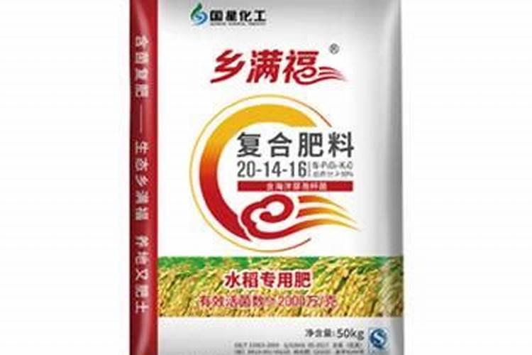 芹菜多久浇一次水
