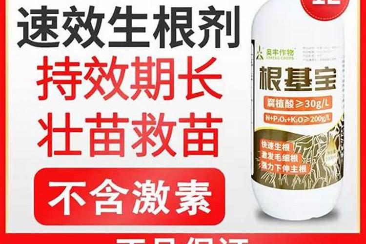 莲藕亩产多少