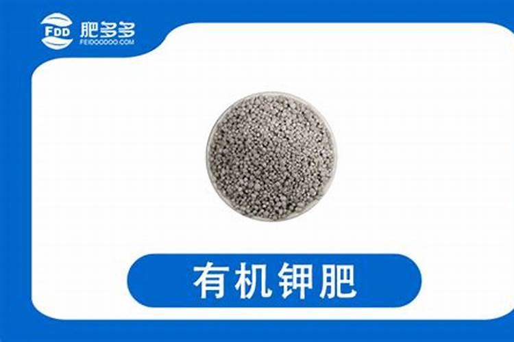 怎么种蝴蝶兰和君子兰？