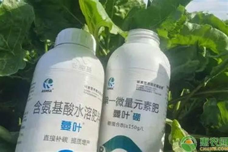 聚谷氨基酸和氨基酸叶面肥哪个好