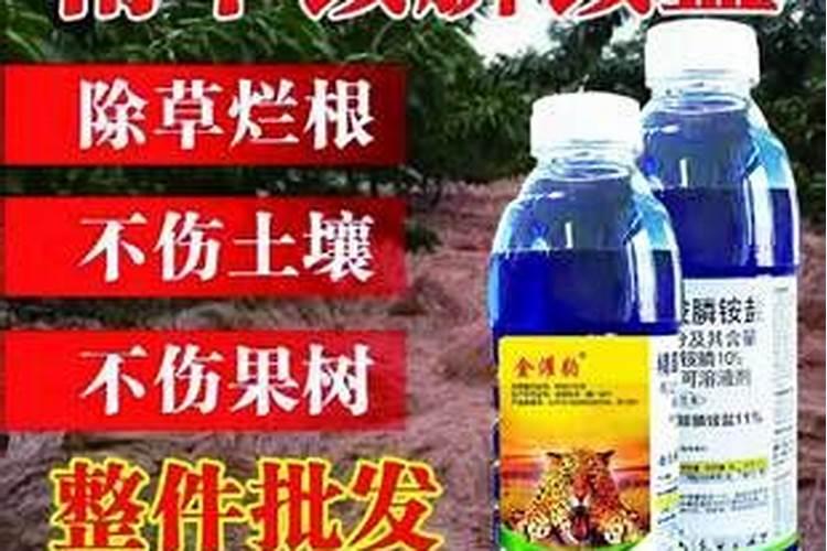 甜瓜地很多草有没有什么专用的除草剂？