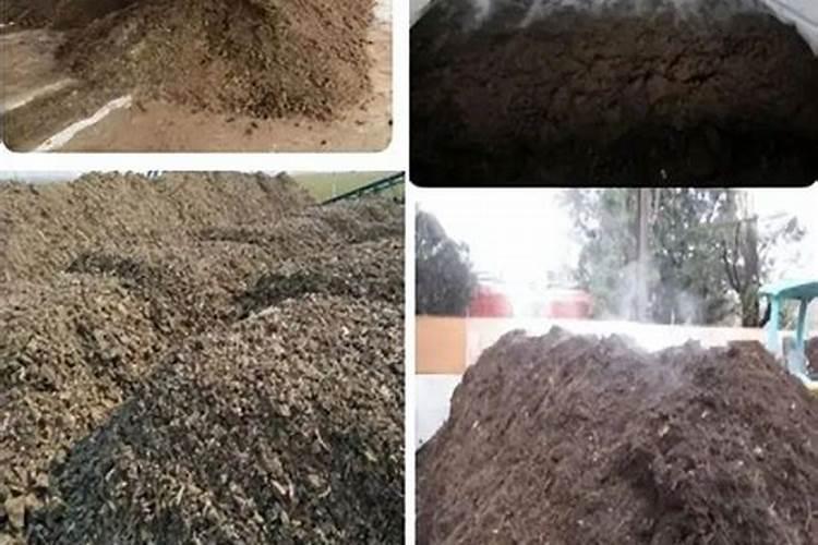 寿光有个威力马水溶肥,看不少种植户都在用,效果到底怎么样？价格这么高...