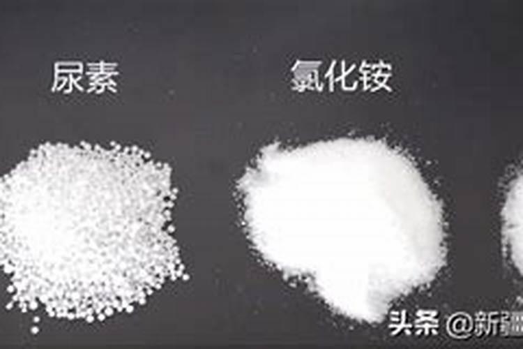 氮肥磷肥钾肥的作用