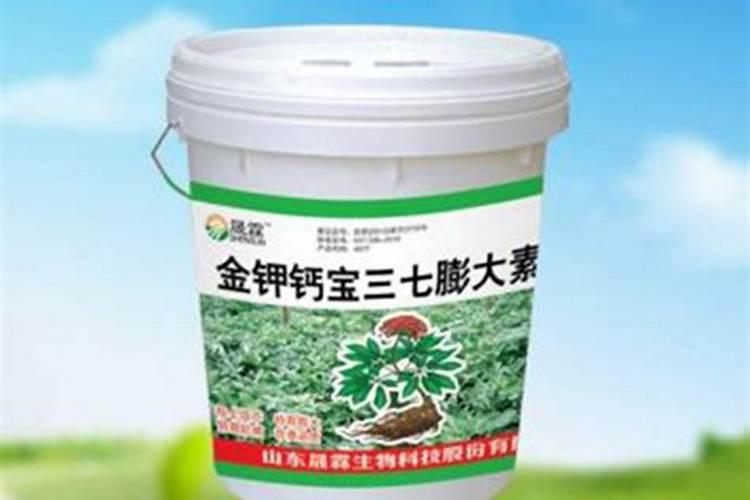 多肉夏天可以施肥吗 用什么肥料比较好