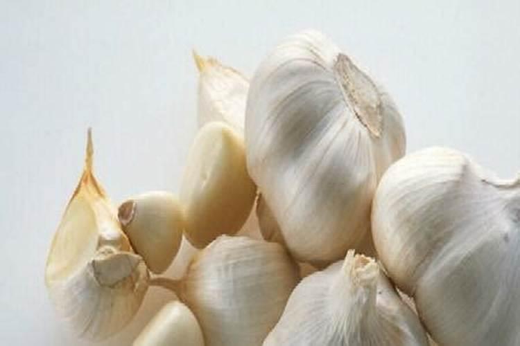 紫菜长什么样