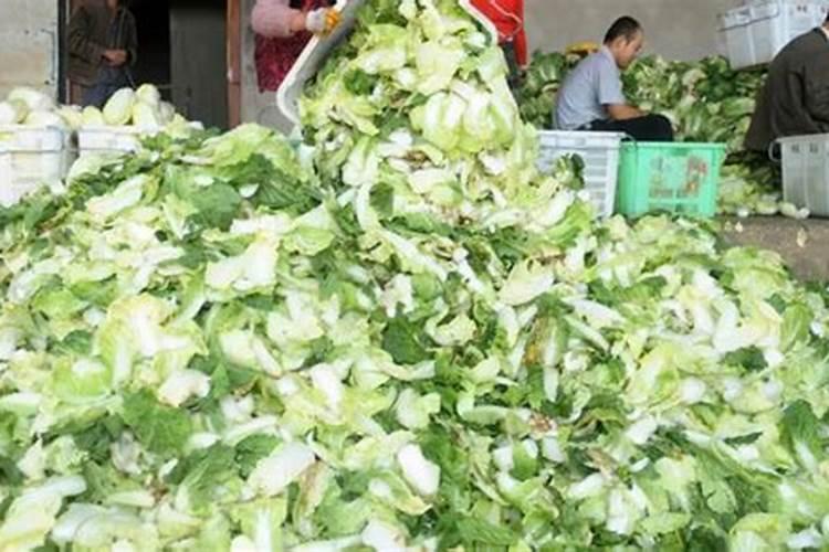自制肥料方法