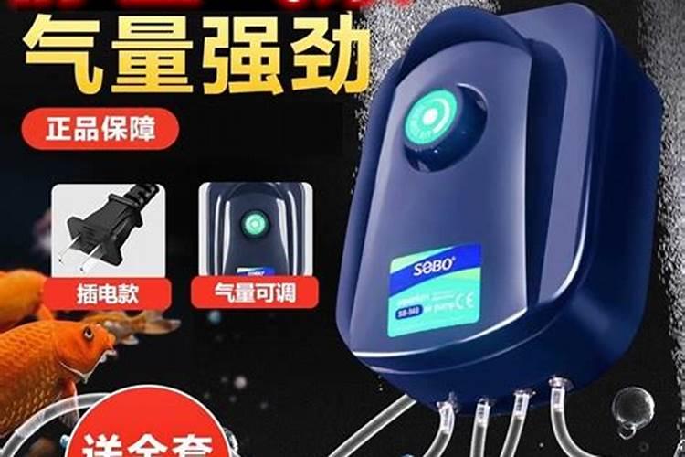 影响叶绿素合成的因素是什么
