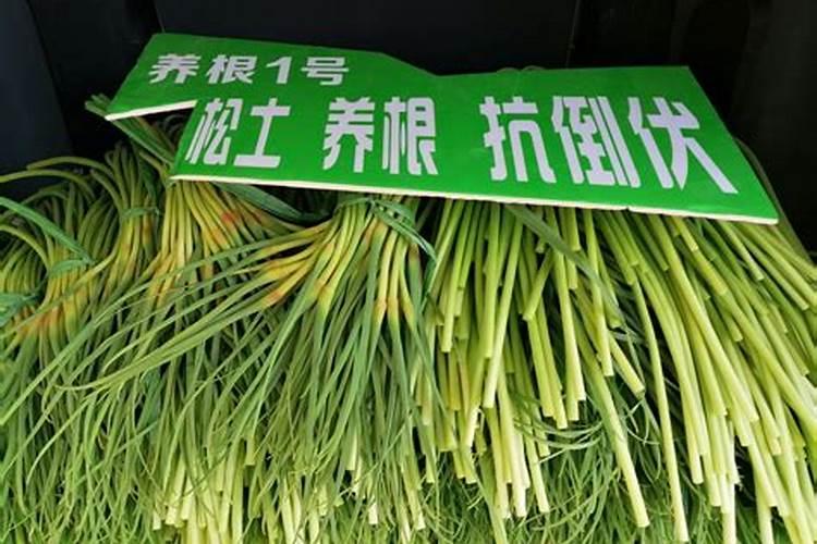 钾肥有哪些