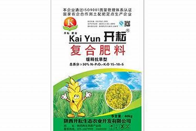 蓝莓树喜阴还是喜阳