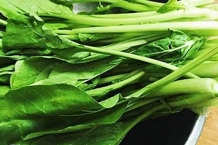 种白菜用什么肥料最好