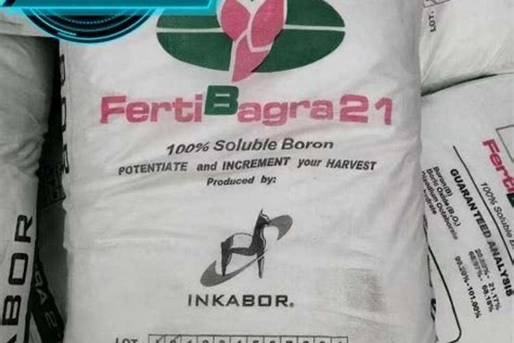 甜瓜是喜肥植物,给甜瓜施肥有哪些要领呢？