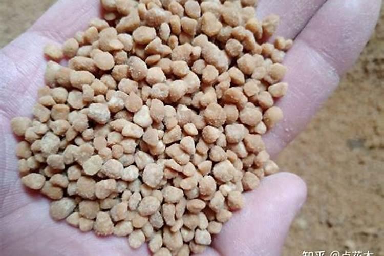 冬季哪些食物不能吃 别吃这五种易中毒的食物