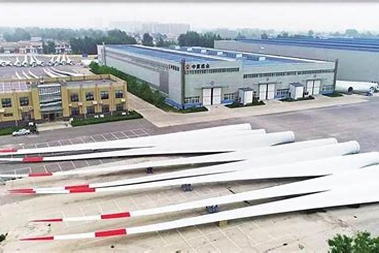 大棚西红柿防裂用什么药安全