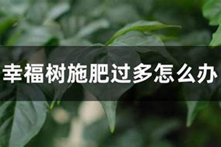 如何鉴别进口水溶肥的好坏