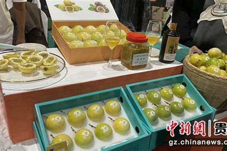 柑橘全年施肥及追肥技术 柑橘怎么进行肥料管理