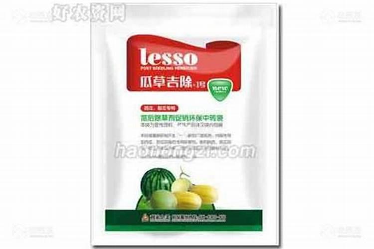 甜瓜苗期病害有哪些,如何防治？