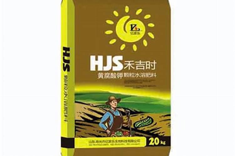茶树采摘后怎么管理
