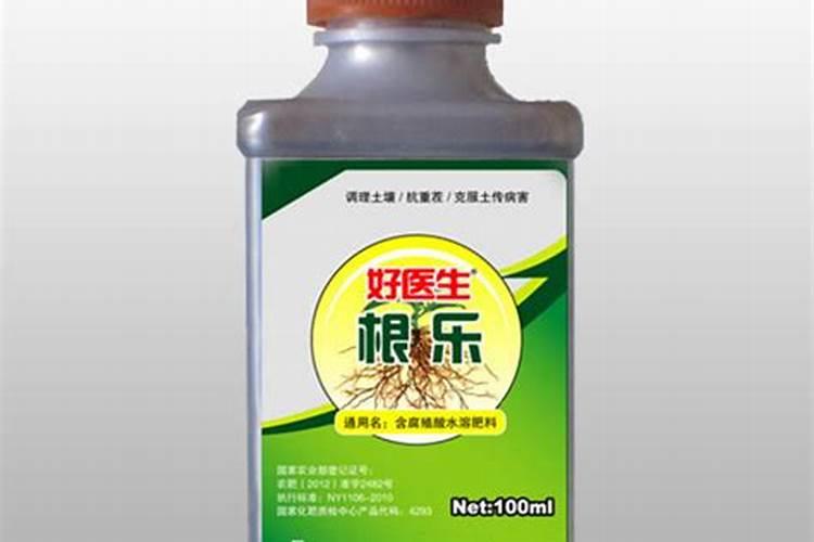长寿花施什么肥粗壮叶子肥(长寿花小苗用什么肥长得快)