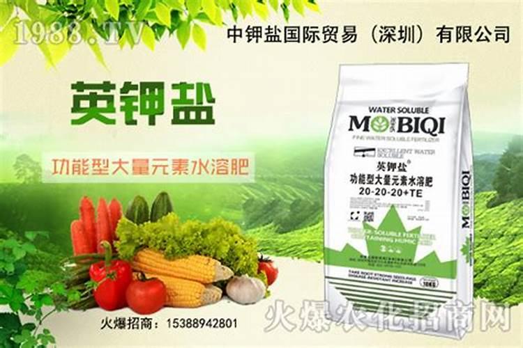 种植大姜怎么施肥好