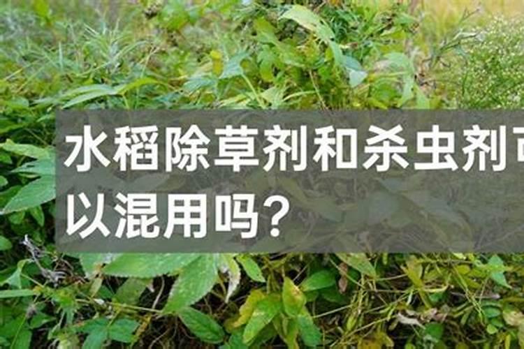 氧化乐果可以加叶面肥一起喷吗？