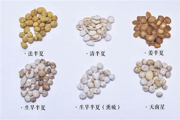 花生叶子发黄打什么药 怎么防治效果好