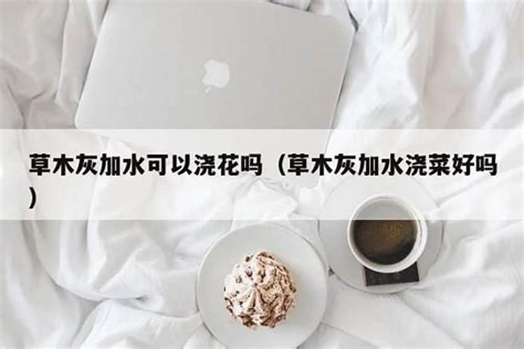 杨梅树施硼肥起什么作用 硼肥的使用方法