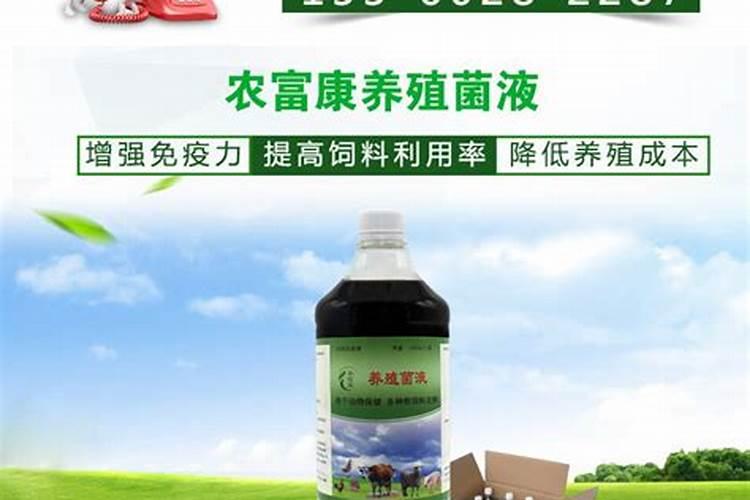 秀球花叶子上能不能喷水