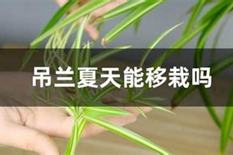 水溶肥和液体肥有什么区别