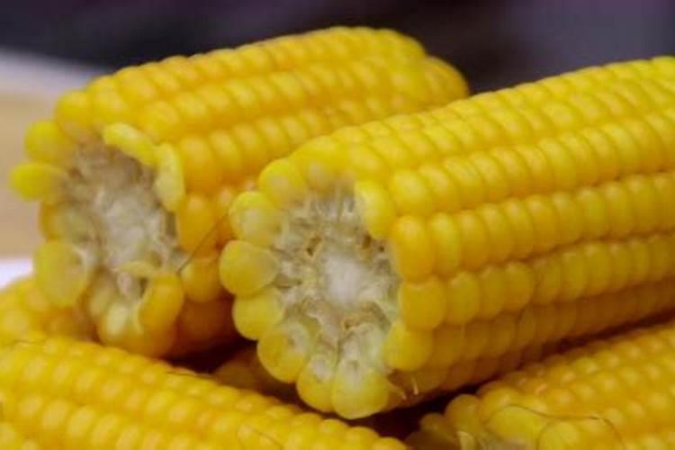 玉米用什么叶面肥好