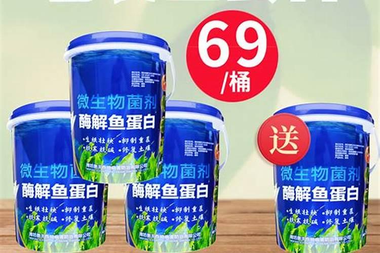 发酵鱼蛋白为什么发臭了