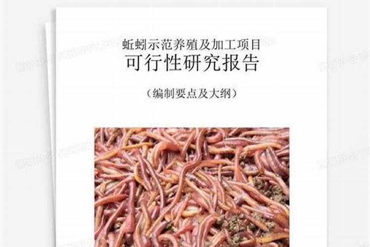养蚯蚓的方法