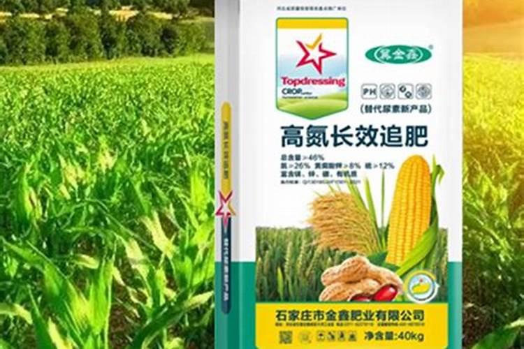 尿素和氮肥,哪个给果树施肥的效果好？为什么？