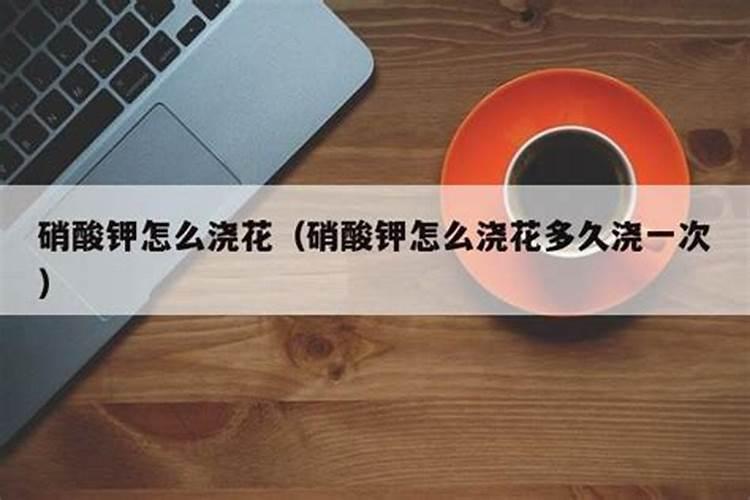 君子兰怎么施肥？