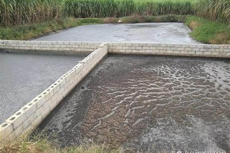 四川凉山州会理县奶油果(牛油果)种苗繁育基地智能水肥一体化灌溉系统...