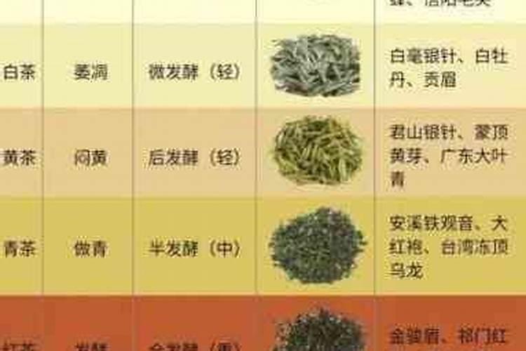 山茶花的含义