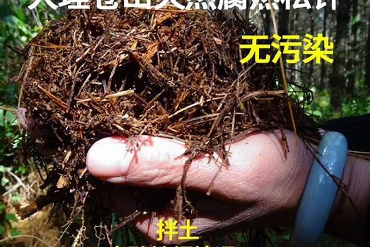 黄腐酸钾水溶肥有什么作用？主要功效是什么？